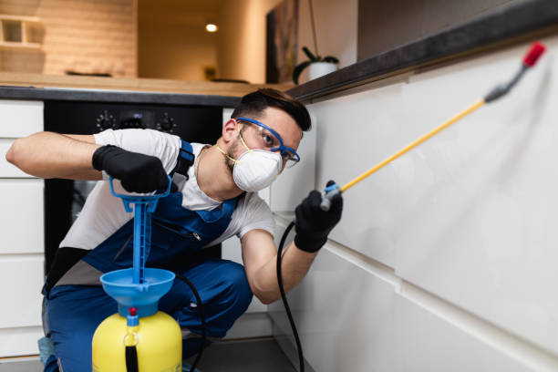 Best Bed Bug Extermination  in Martha Lake, WA