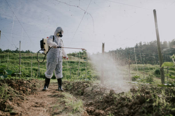 Best Best Pest Control Companies  in Martha Lake, WA