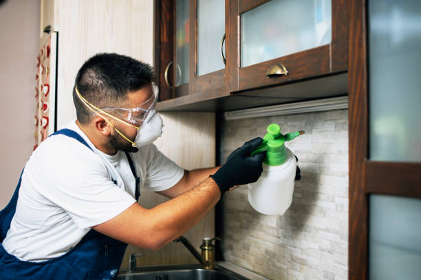 Best Residential Pest Control  in Martha Lake, WA
