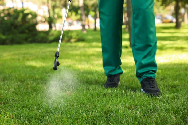 Wasp Removal Services in Martha Lake, WA