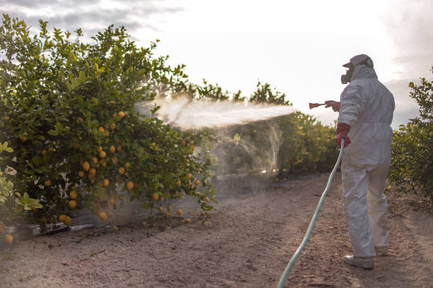Pest Prevention Services in Martha Lake, WA
