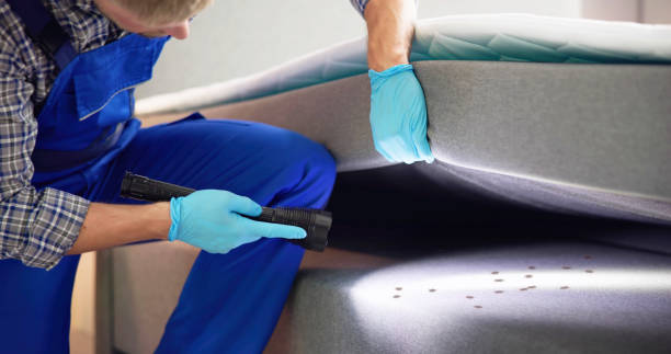 Best Affordable Pest Control Services  in Martha Lake, WA