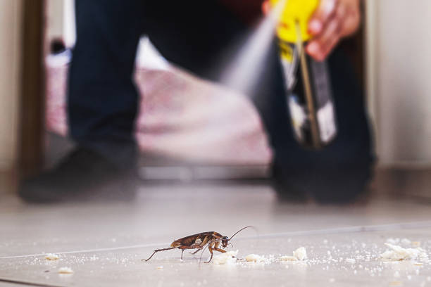 Best Pest Removal Services  in Martha Lake, WA