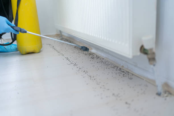 Best Pest Control Near Me in Martha Lake, WA