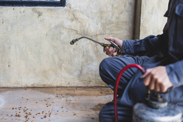 Best Wasp Removal Services  in Martha Lake, WA
